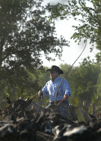 Florida Cowboys