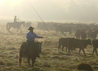 Florida Cowboys