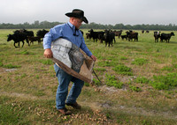 Florida Cowboys