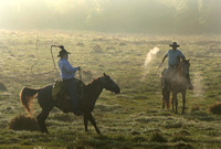 Florida Cowboys