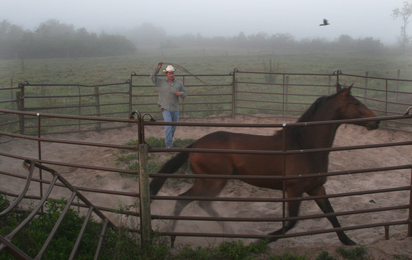 Florida Cowboys